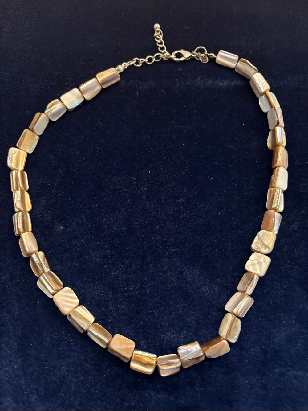 Premier Designs "Sandstone" Natural Mother of Pearl Shell Chunk Bead Necklace